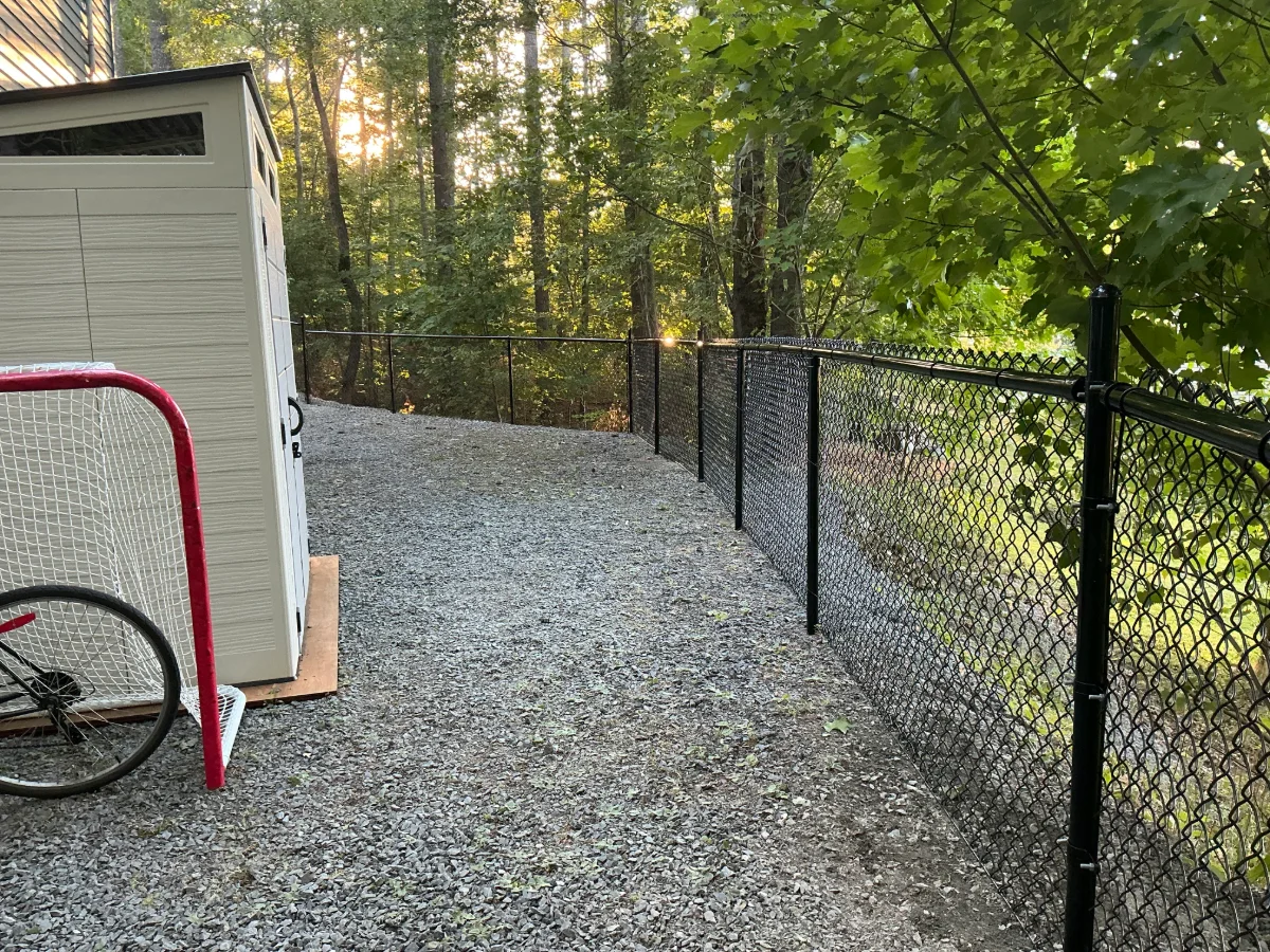 Chain-link fence curving through a wooded yard