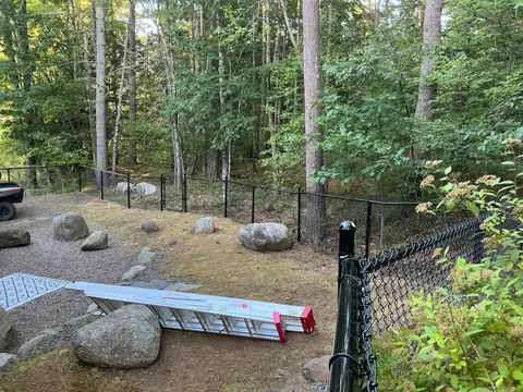 Chain-link fence wrapping a natural backyard