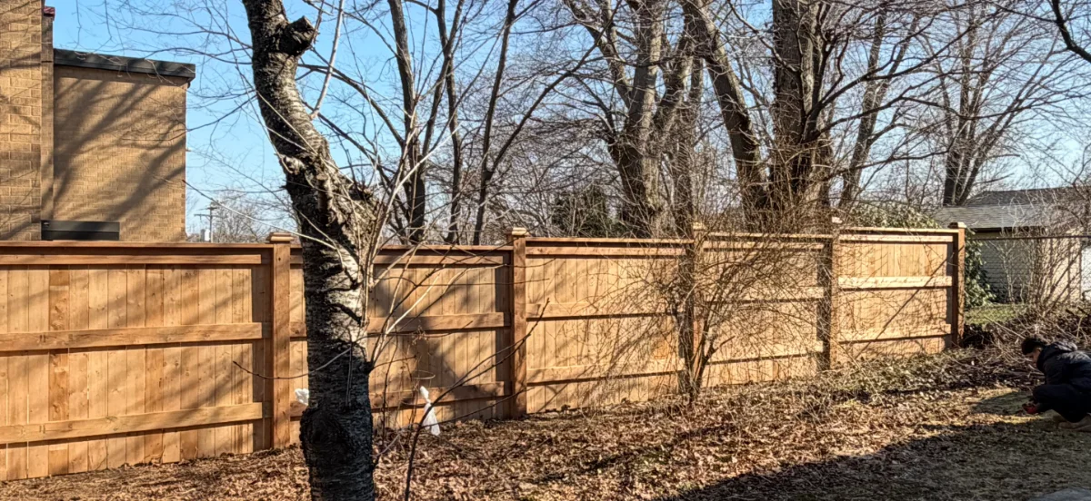 Wide wood fence line behind trees